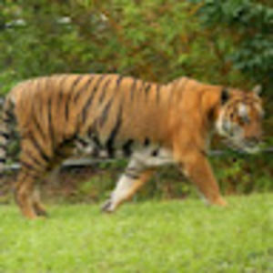 Meet your Posher, Mario